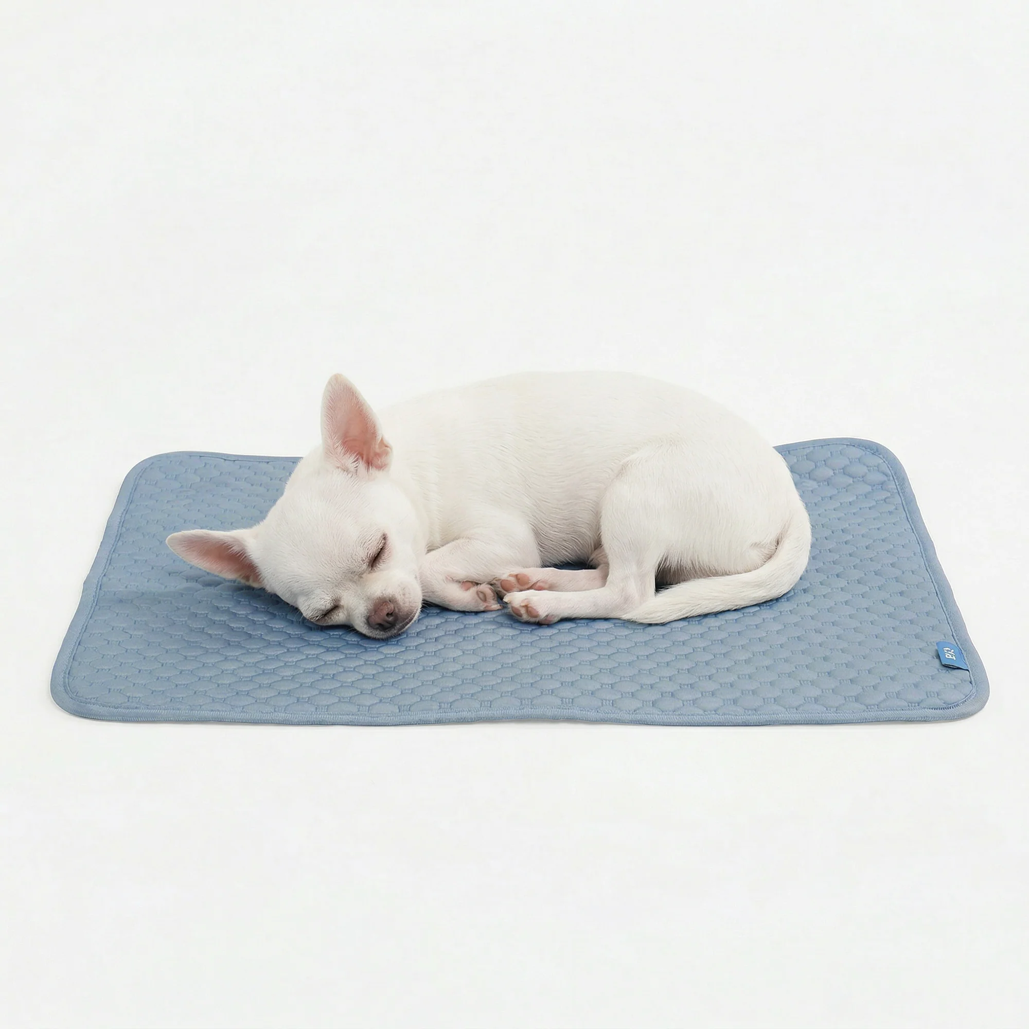 Cooling Bed (Copy)